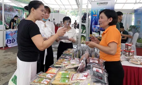 Hà Nội: Kết nối nông sản thực phẩm an toàn cung ứng tới hệ thống chợ truyền thống trên địa bàn thành phố