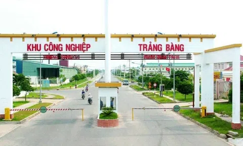 Đánh giá sự hài lòng của khách hàng về chất lượng dịch vụ tại Chi cục Hải quan Khu công nghiệp Trảng Bàng, tỉnh Tây Ninh