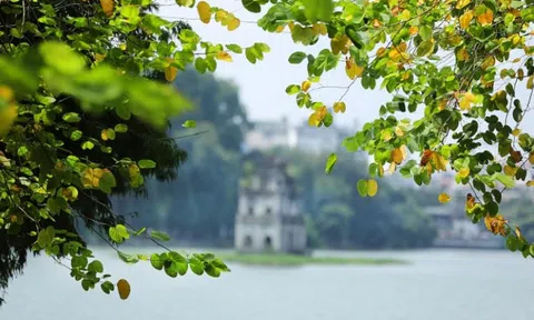 Mùa thu nhớ Bác