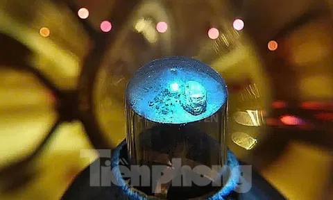Tận mắt thấy Xá lợi Đức Phật lần đầu về Việt Nam