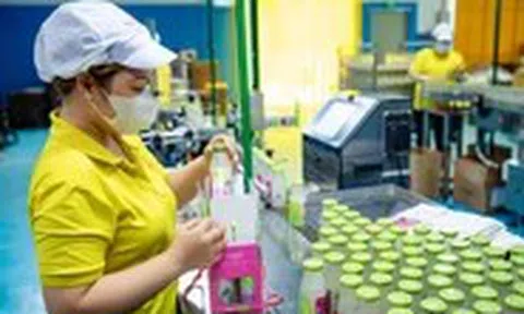 Green Bird giành giải thưởng kép quốc tế về vị ngon