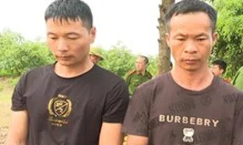 Tạm giữ hình sự hai nghi phạm Trung Quốc xâm phạm lăng mộ vua Lê Túc Tông