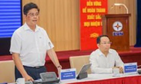 Người dân phải trả thêm bao nhiêu khi giá điện tăng thêm 4,8%?