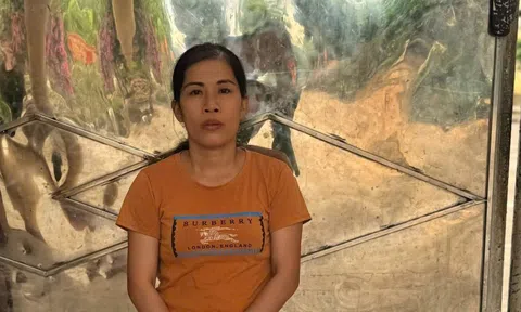 Tạm giữ Nguyễn Thị Hoài