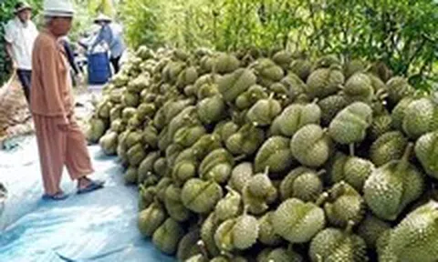 Xuất khẩu nhiều mặt hàng nông, lâm, thủy sản tăng mạnh, riêng gạo và rau quả giảm