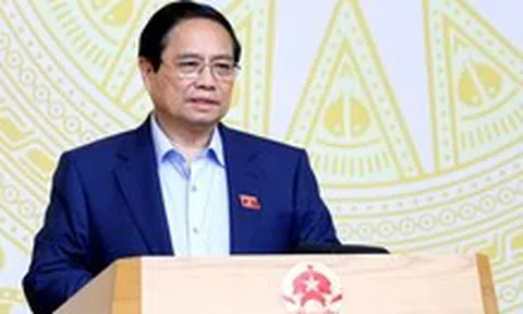 Thủ tướng: Các vụ hàng giả nghiêm trọng cho thấy có sự buông lỏng quản lý